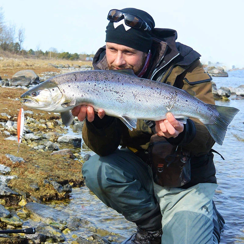 Westin Salty Lures